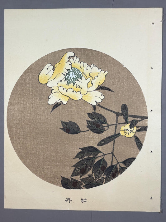 1908, Japanese antique woodblock print, Ito Jakuchu, "peony, from Jakuchu gafu"