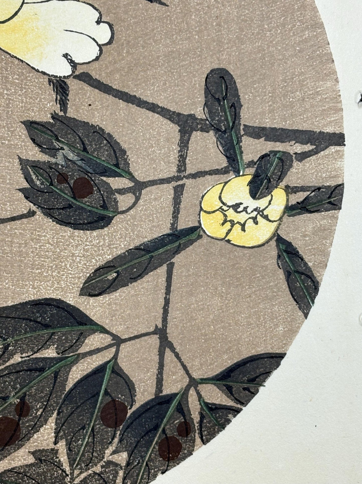 1908, Japanese antique woodblock print, Ito Jakuchu, "peony, from Jakuchu gafu"