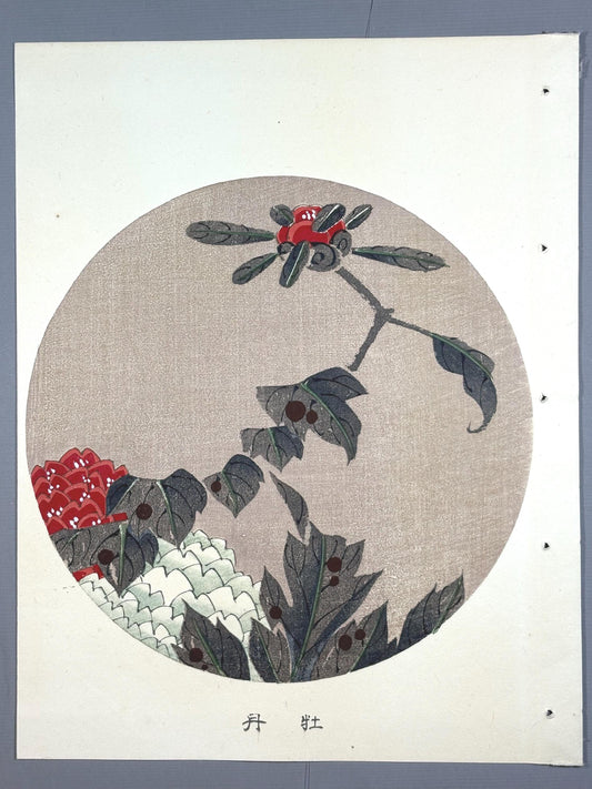 1908, Japanese antique woodblock print, Ito Jakuchu, "peony, from Jakuchu gafu"