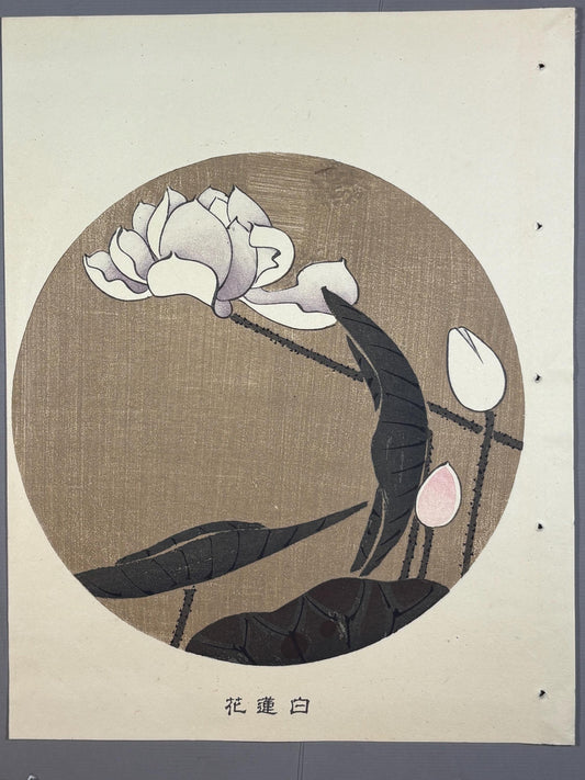 1908, Japanese antique woodblock print, Ito Jakuchu, "White Lotus, from Jakuchu gafu"