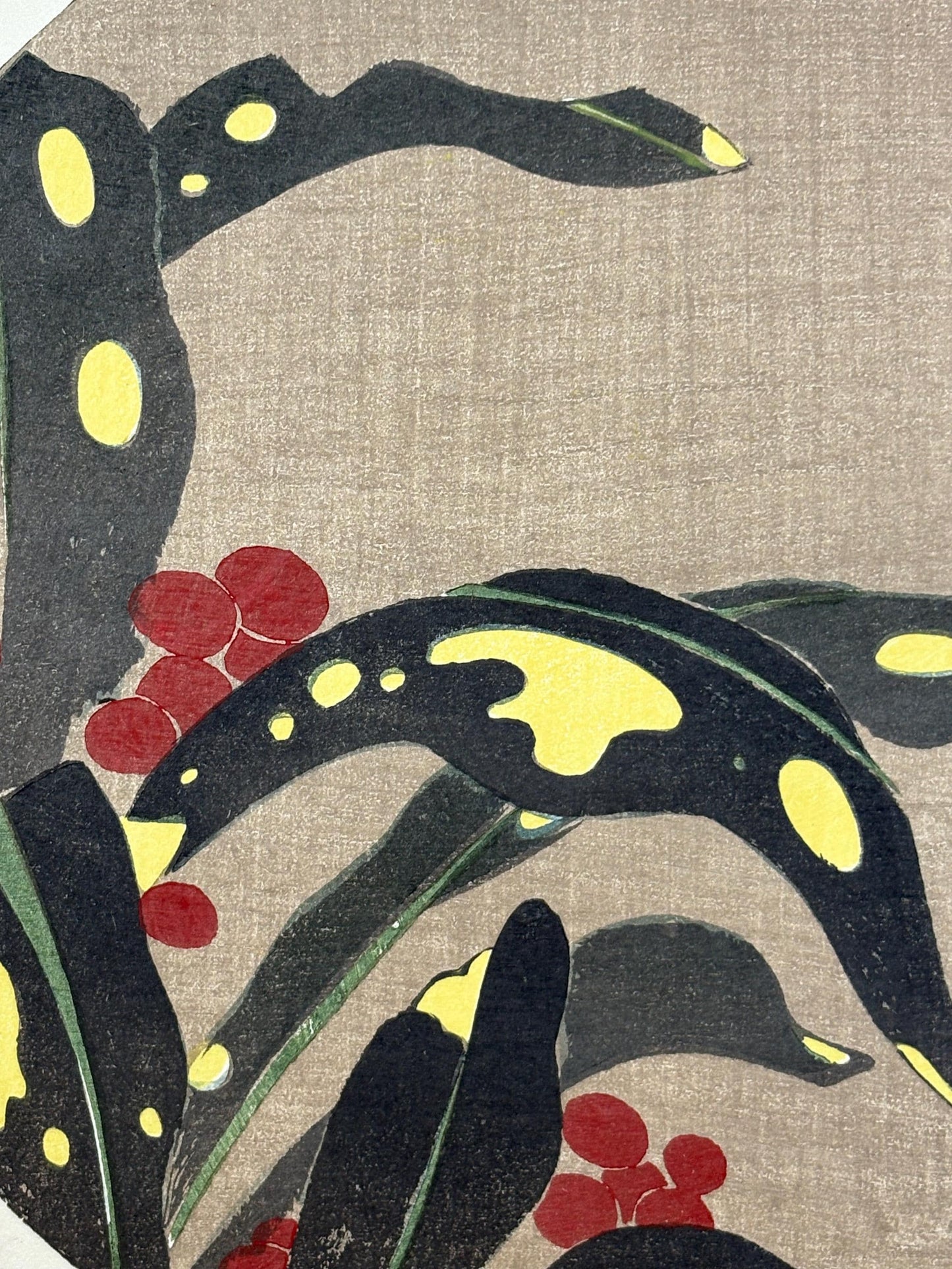 1908, Japanese antique woodblock print, Ito Jakuchu, "Stonecrop, from Jakuchu gafu"