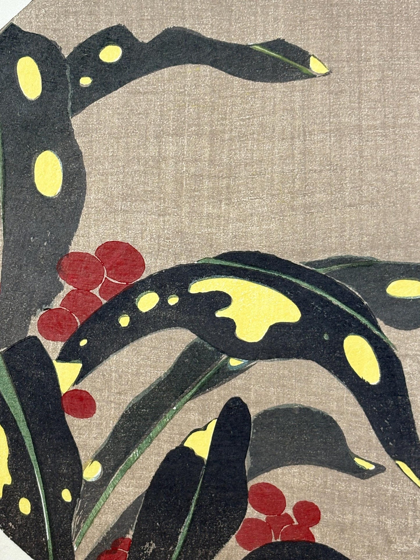1908, Japanese antique woodblock print, Ito Jakuchu, "Stonecrop, from Jakuchu gafu"