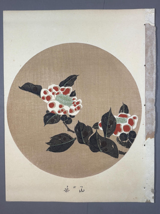 1908, Japanese antique woodblock print, Ito Jakuchu, "Camellia, from Jakuchu gafu"