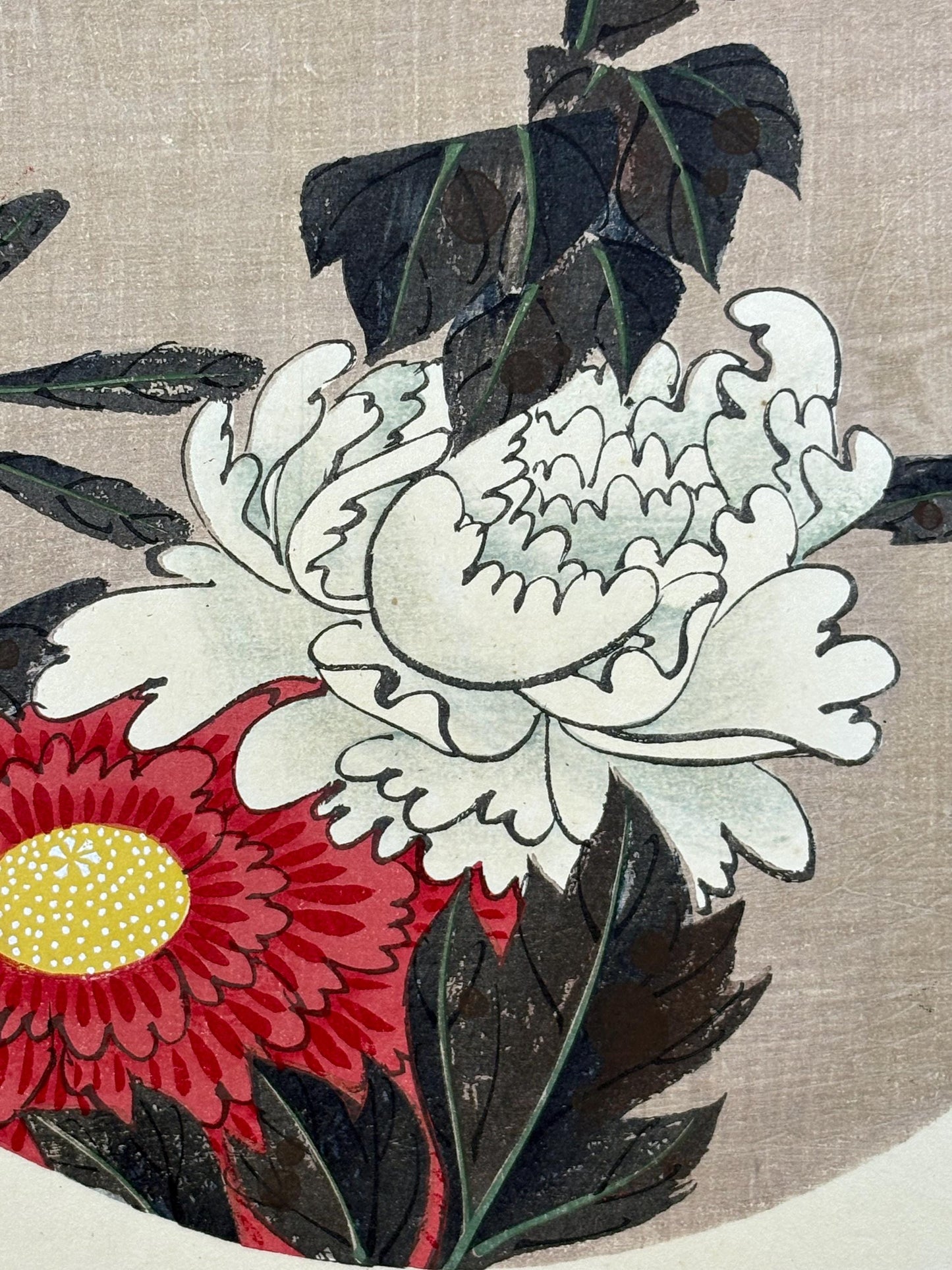 1908, Japanese antique woodblock print, Ito Jakuchu, "Peony, from Jakuchu gafu"