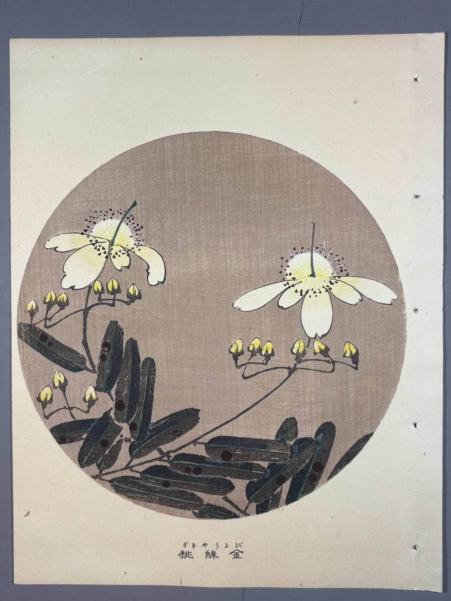 1908, Japanese antique woodblock print, Ito Jakuchu, "Chrysanthemum, from Jakuchu gafu"