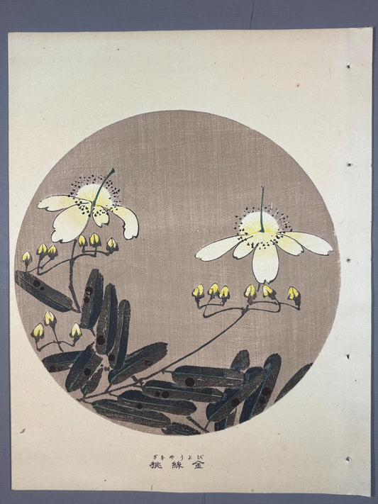 1908, Japanese antique woodblock print, Ito Jakuchu, "Chrysanthemum, from Jakuchu gafu"