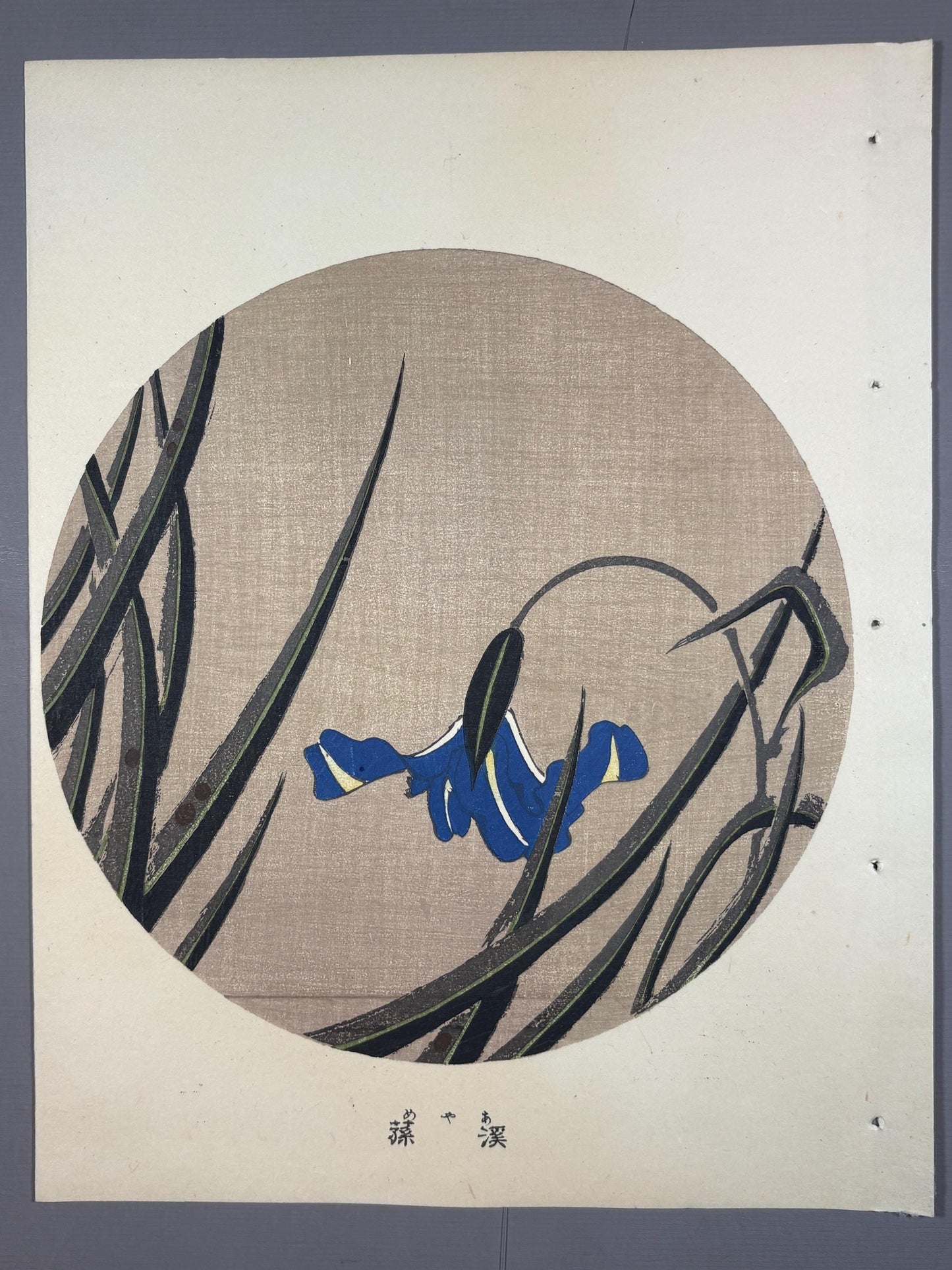 1908, Japanese antique woodblock print, Ito Jakuchu, "Iris, from Jakuchu gafu"