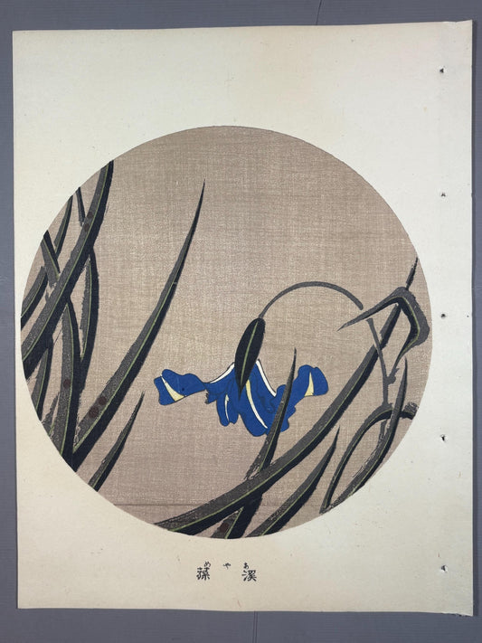 1908, Japanese antique woodblock print, Ito Jakuchu, "Iris, from Jakuchu gafu"