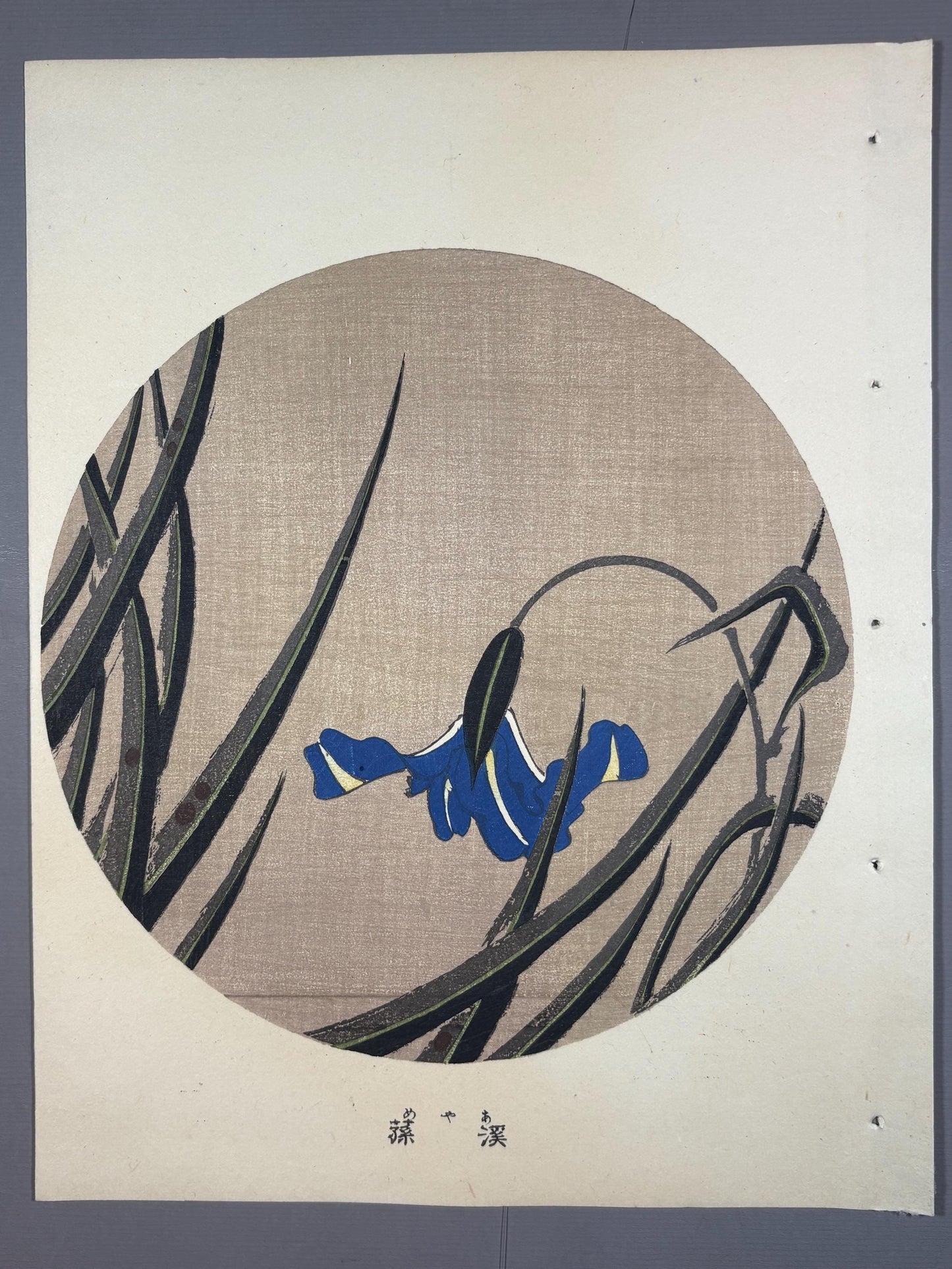1908, Japanese antique woodblock print, Ito Jakuchu, "Iris, from Jakuchu gafu"