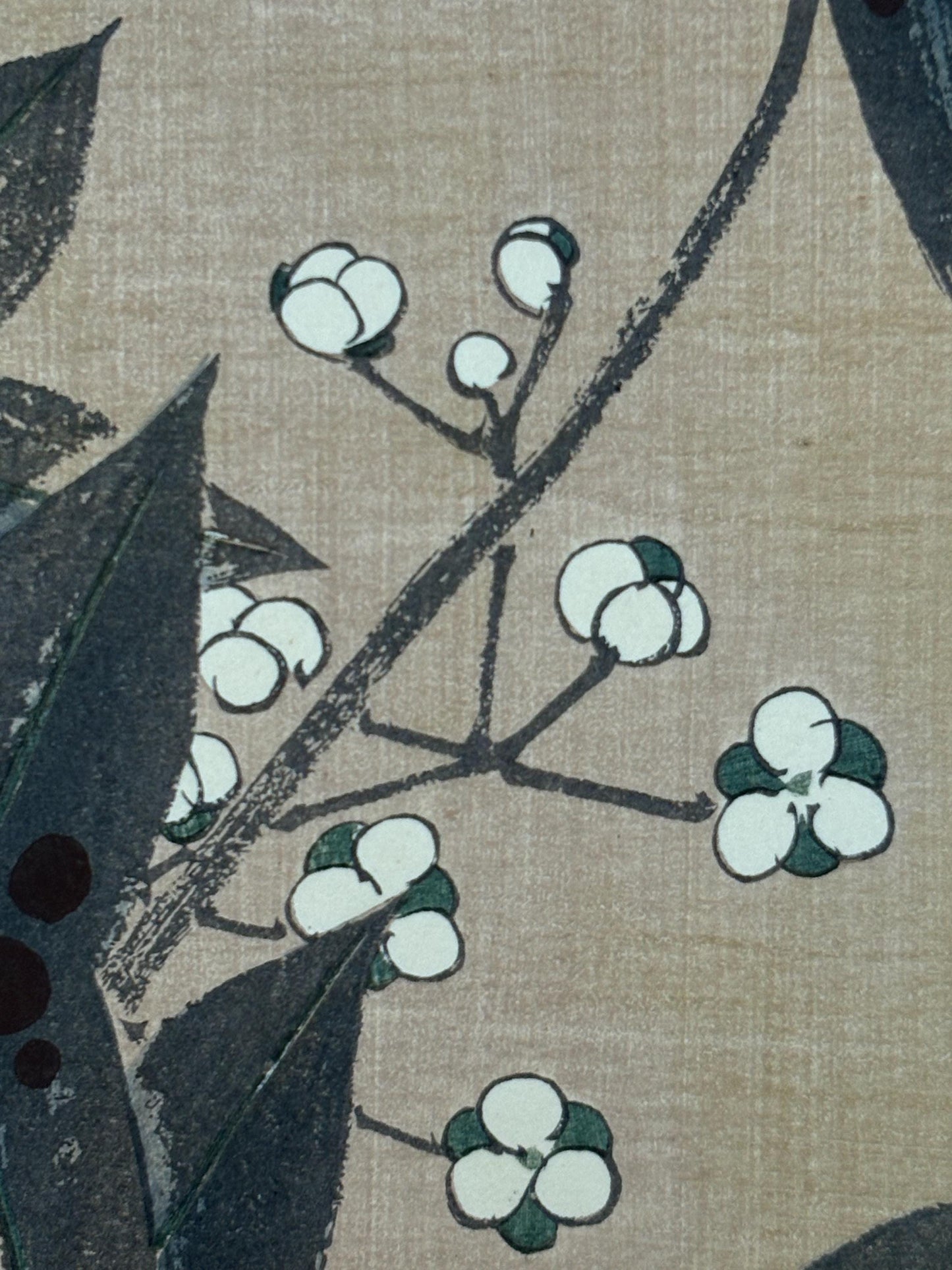 1908, Japanese antique woodblock print, Ito Jakuchu, "Three-leaf arrowhead, from Jakuchu gafu"