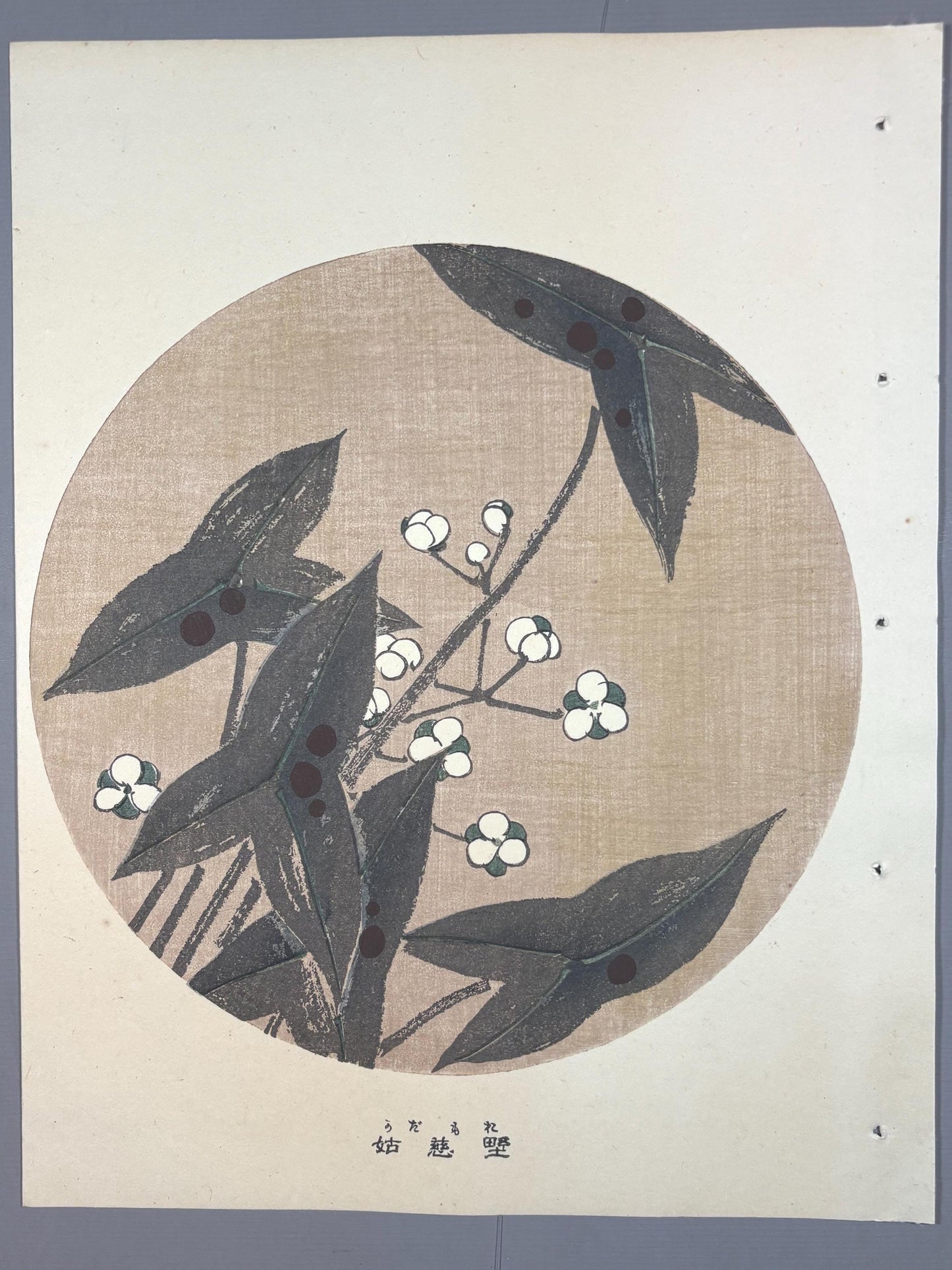 1908, Japanese antique woodblock print, Ito Jakuchu, "Three-leaf arrowhead, from Jakuchu gafu"