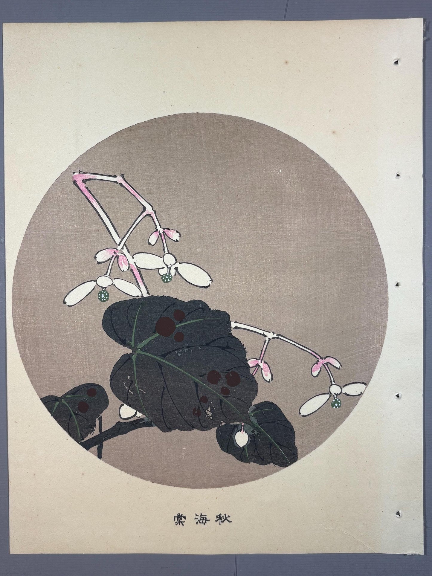 1908, Japanese antique woodblock print, Ito Jakuchu, "Hardy Begonia, from Jakuchu gafu"