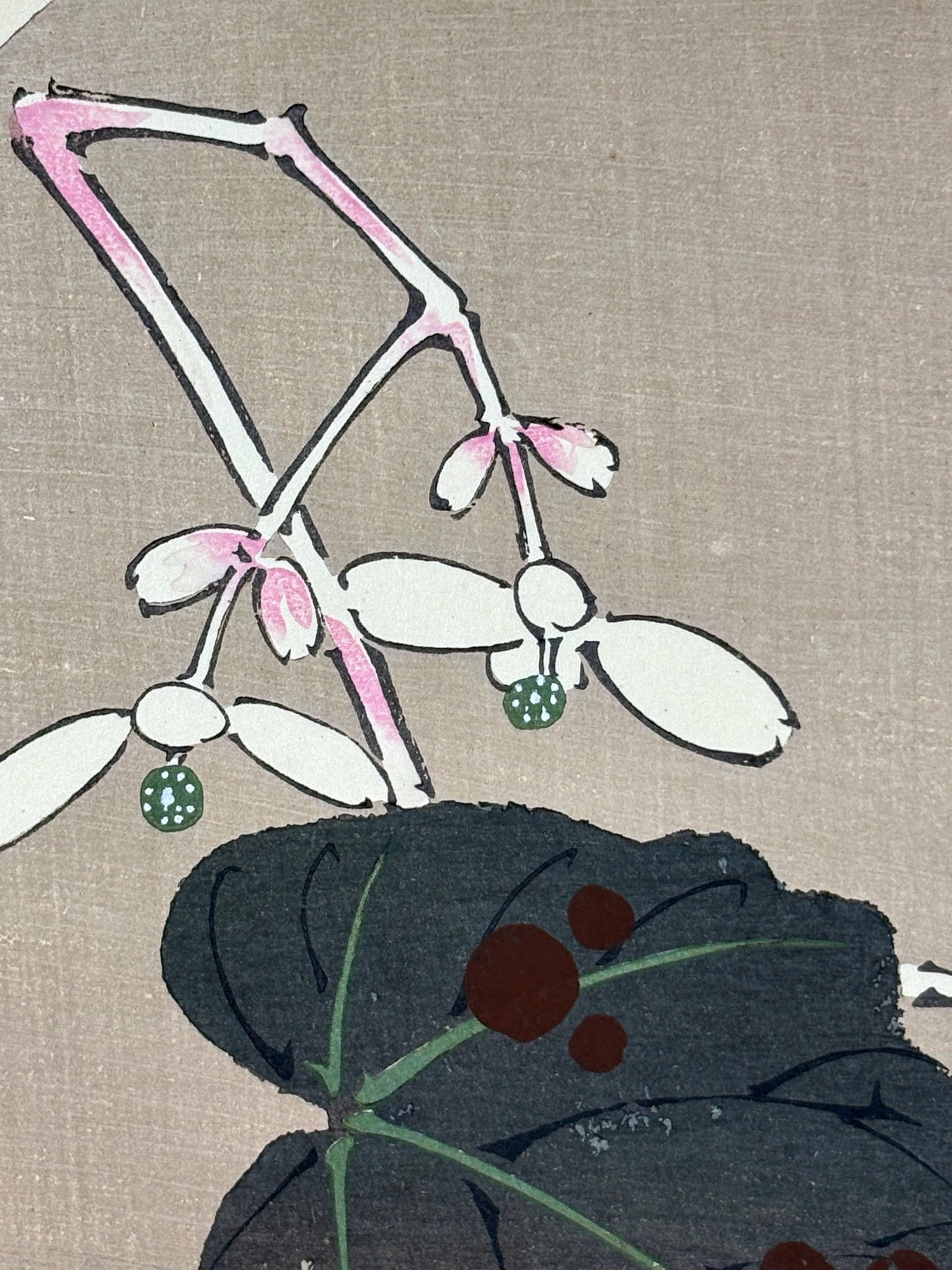 1908, Japanese antique woodblock print, Ito Jakuchu, "Hardy Begonia, from Jakuchu gafu"