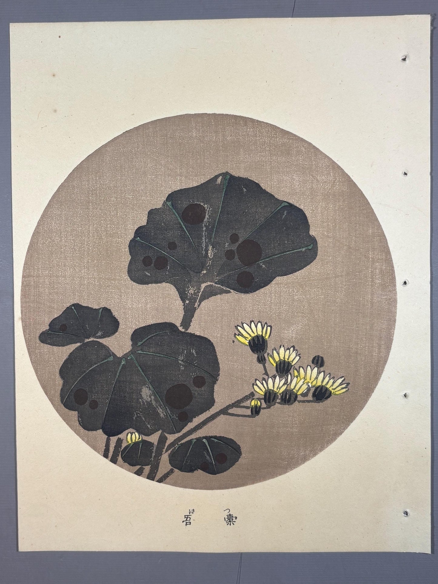 1908, Japanese antique woodblock print, Ito Jakuchu, "Leopard plant, from Jakuchu gafu"