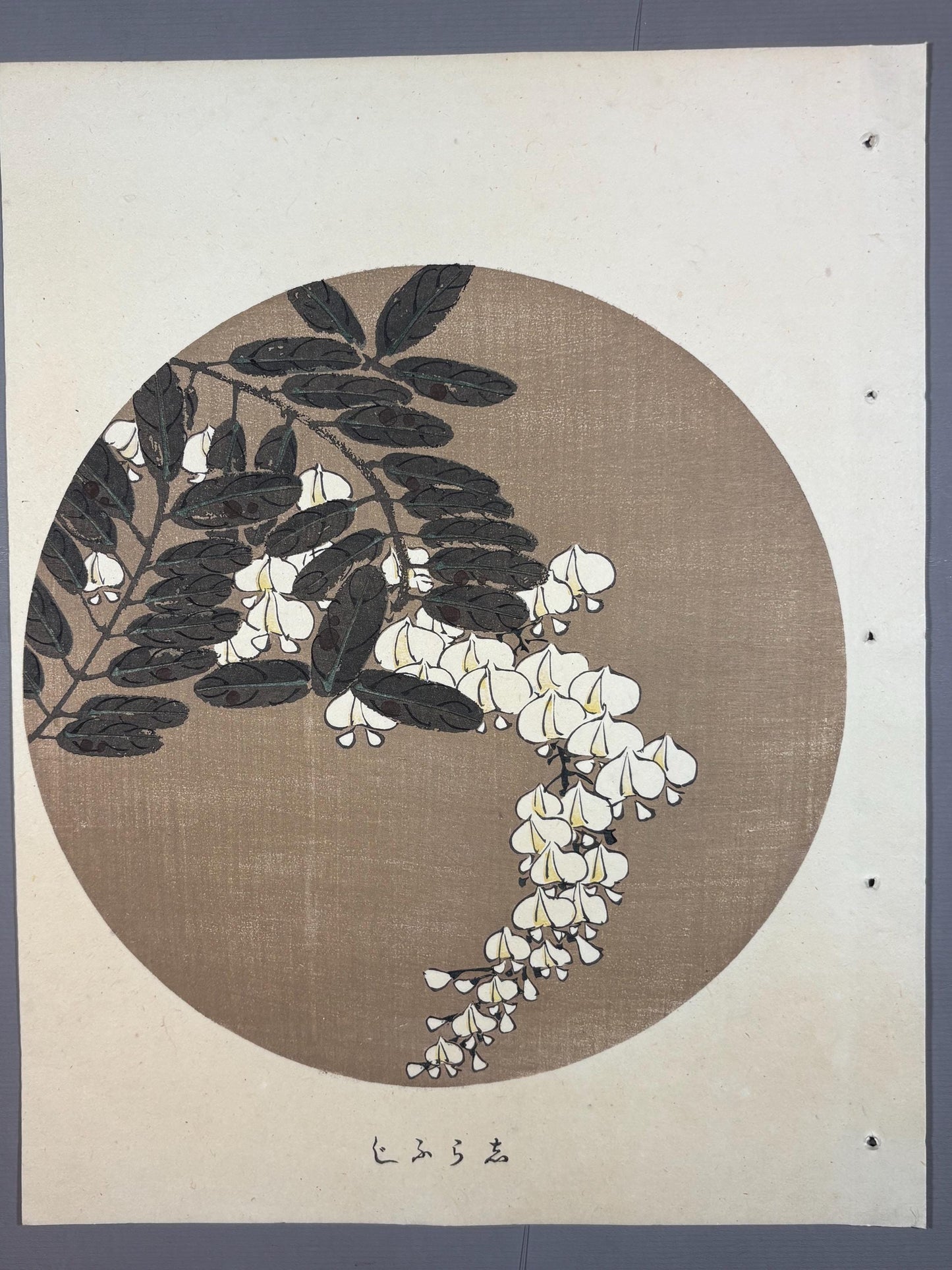 1908, Japanese antique woodblock print, Ito Jakuchu, "White Wisteria, from Jakuchu gafu"