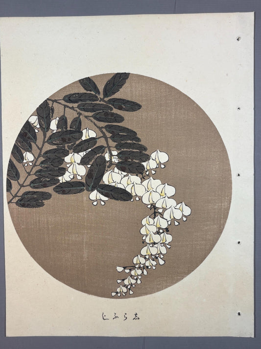 1908, Japanese antique woodblock print, Ito Jakuchu, "White Wisteria, from Jakuchu gafu"
