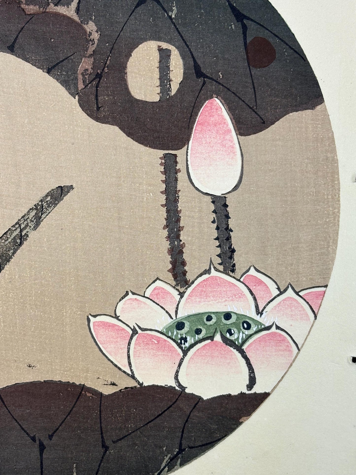 1908, Japanese antique woodblock print, Ito Jakuchu, "Lotus, from Jakuchu gafu"