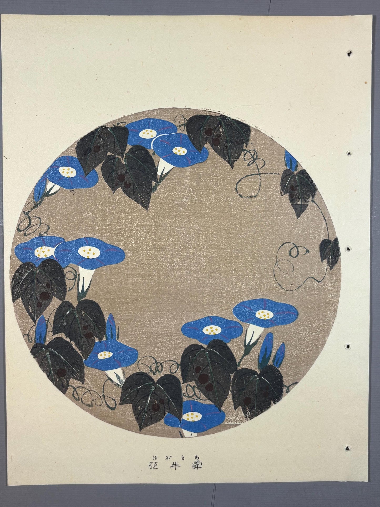1908, Japanese antique woodblock print, Ito Jakuchu, "Morning Glory, from Jakuchu gafu"