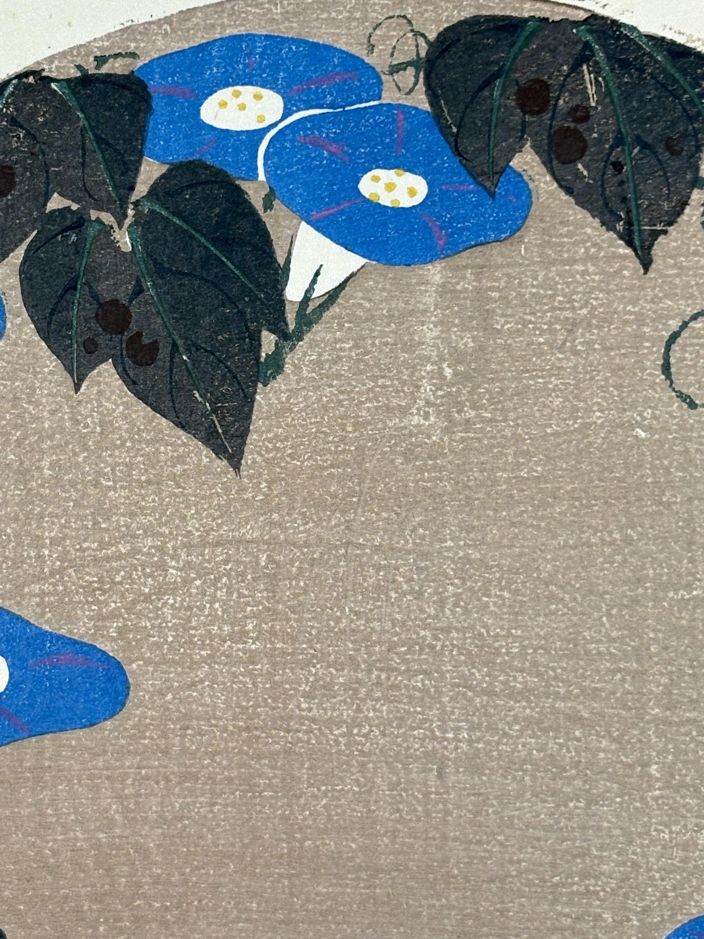 1908, Japanese antique woodblock print, Ito Jakuchu, "Morning Glory, from Jakuchu gafu"