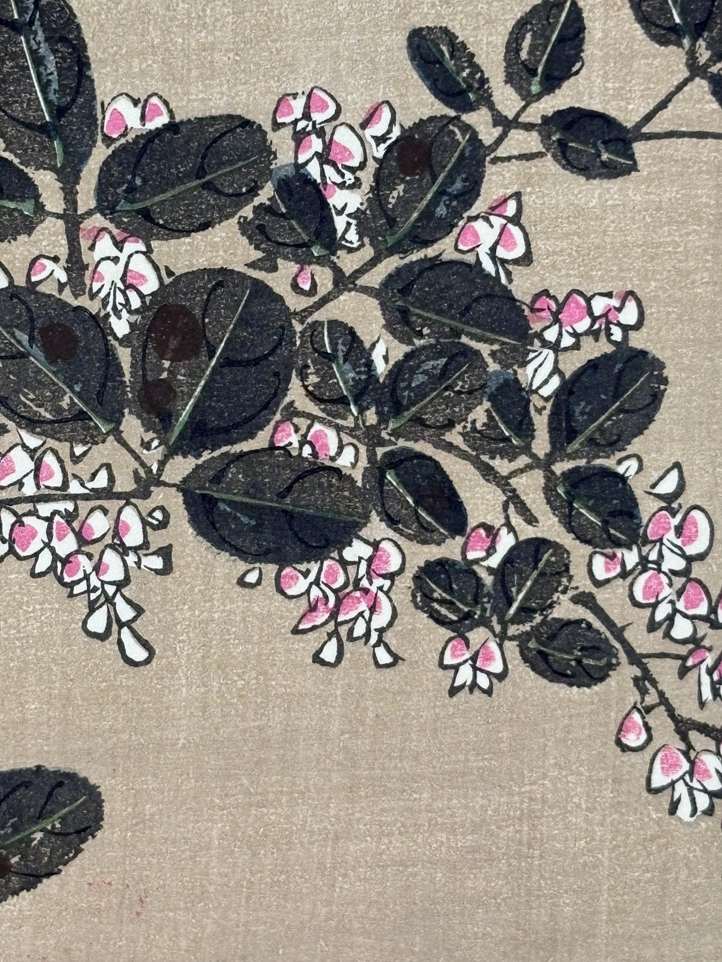 1908, Japanese antique woodblock print, Ito Jakuchu, "Bush clover, from Jakuchu gafu"