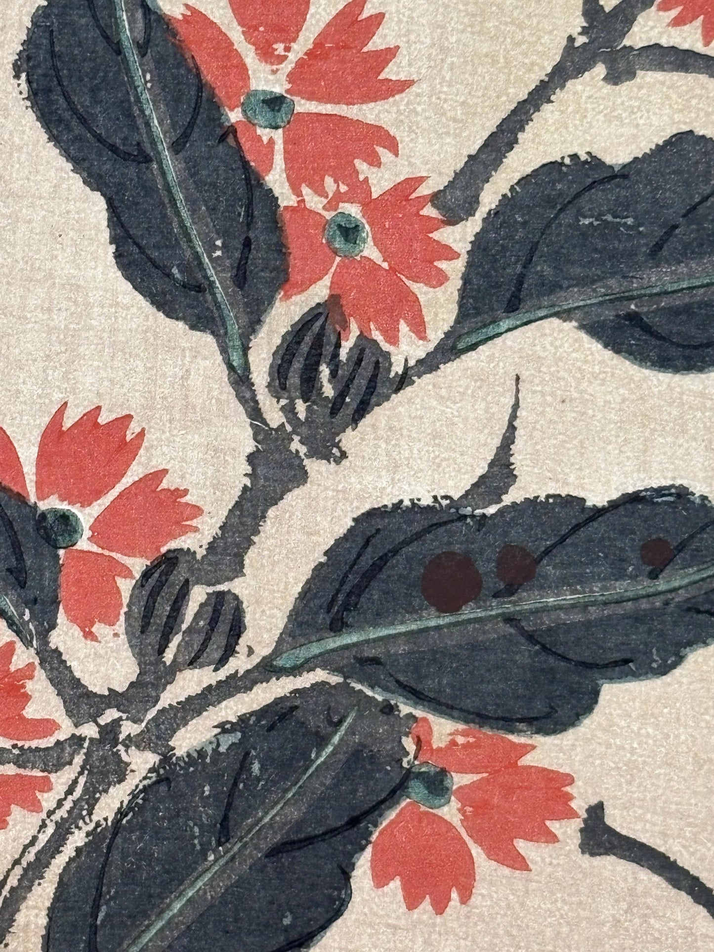 1908, Japanese antique woodblock print, Ito Jakuchu, "Orange Campion, from Jakuchu gafu"