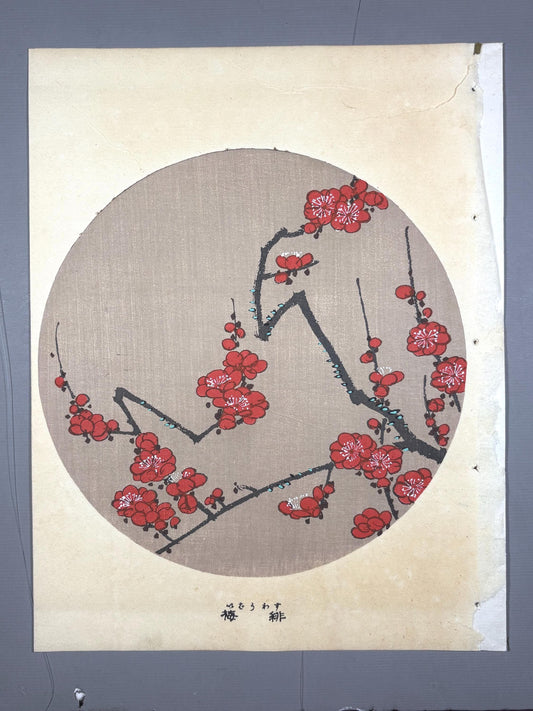 1908, Japanese antique woodblock print, Ito Jakuchu, "Scarlet Plum Blossom, from Jakuchu gafu"