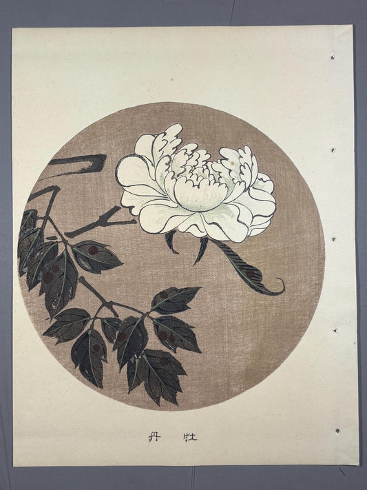 1908, Japanese antique woodblock print, Ito Jakuchu, "Peony, from Jakuchu gafu"