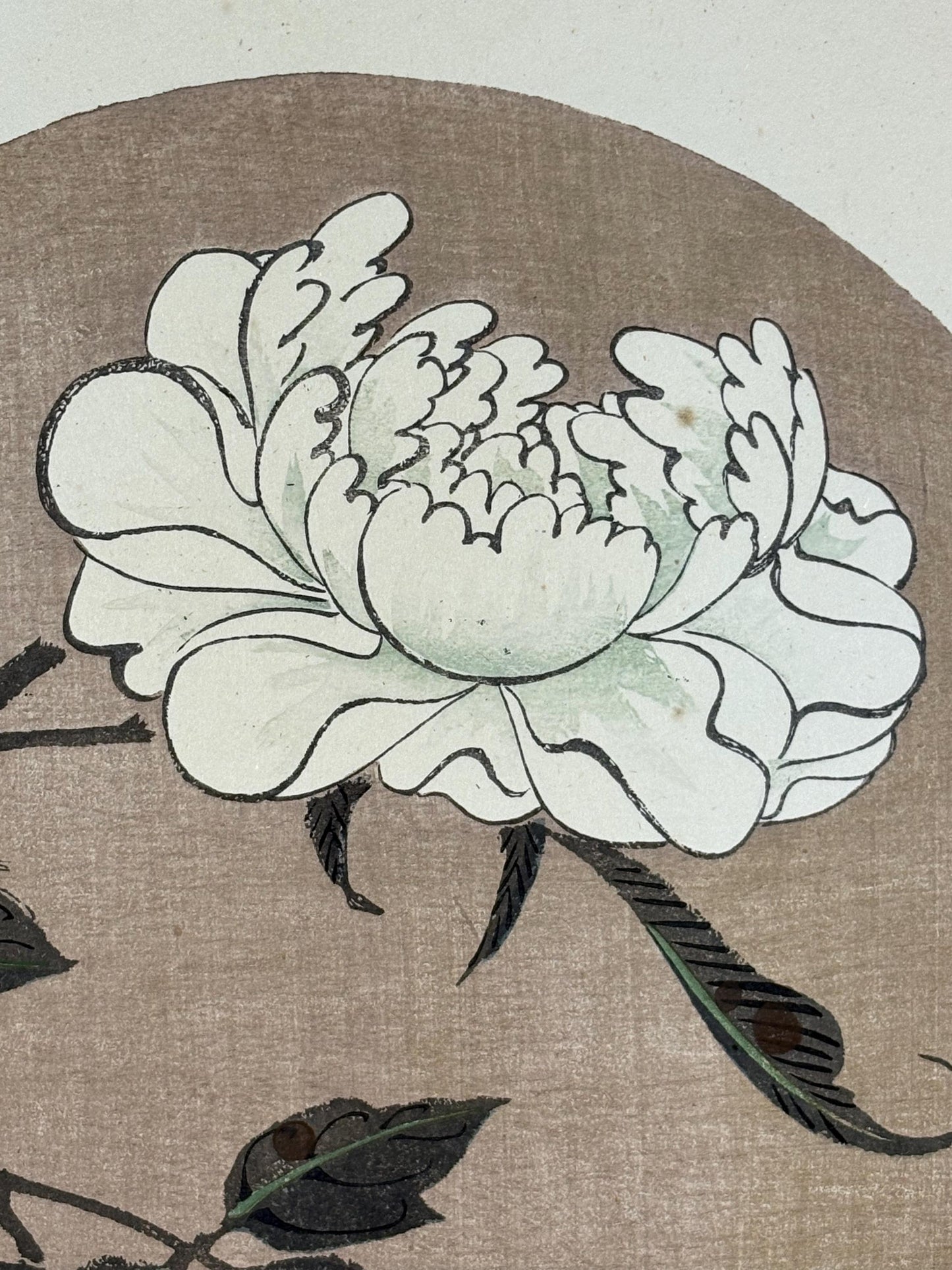 1908, Japanese antique woodblock print, Ito Jakuchu, "Peony, from Jakuchu gafu"