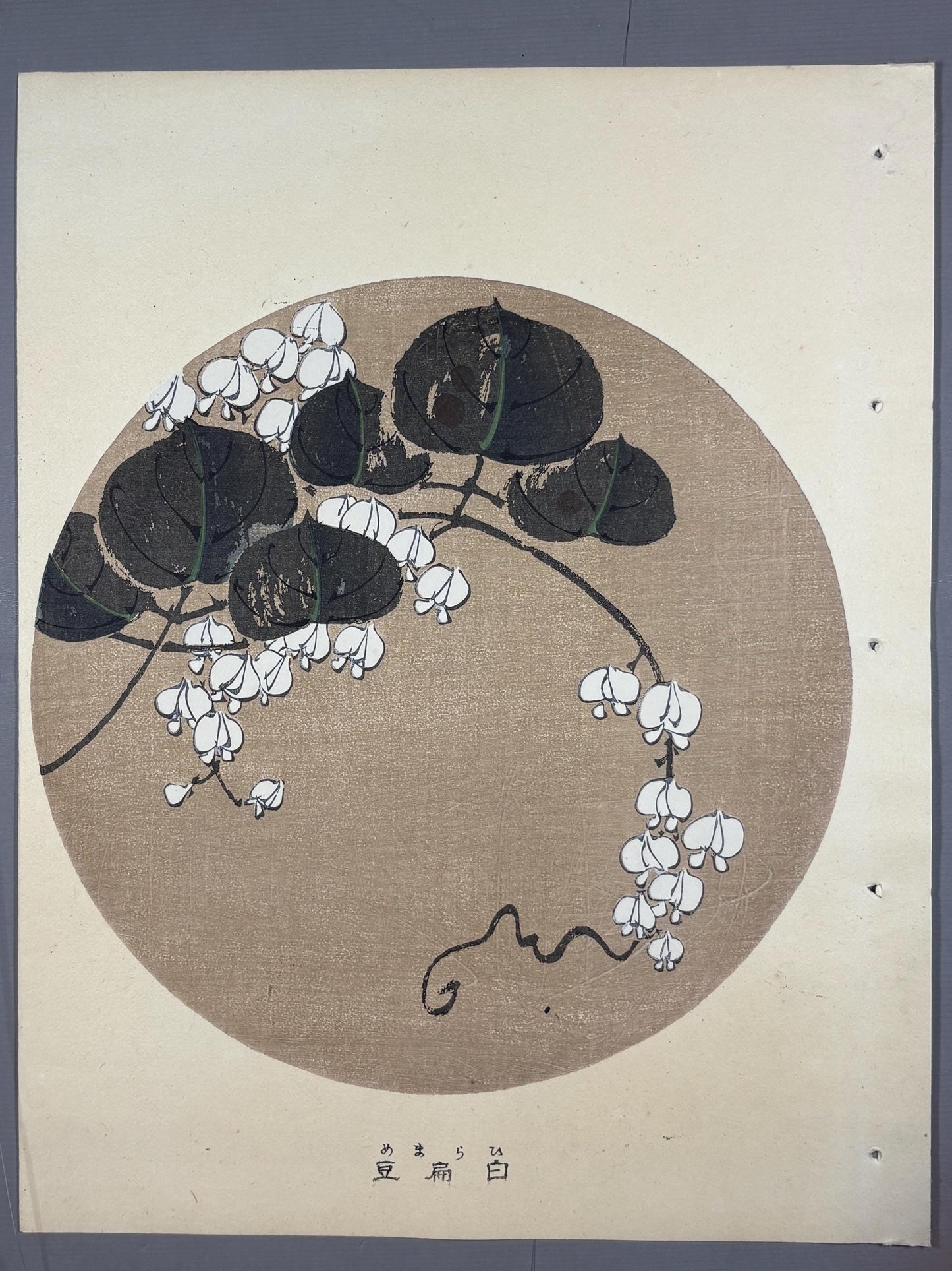 1908, Japanese antique woodblock print, Ito Jakuchu, "White Hyacinth Bean, from Jakuchu gafu"
