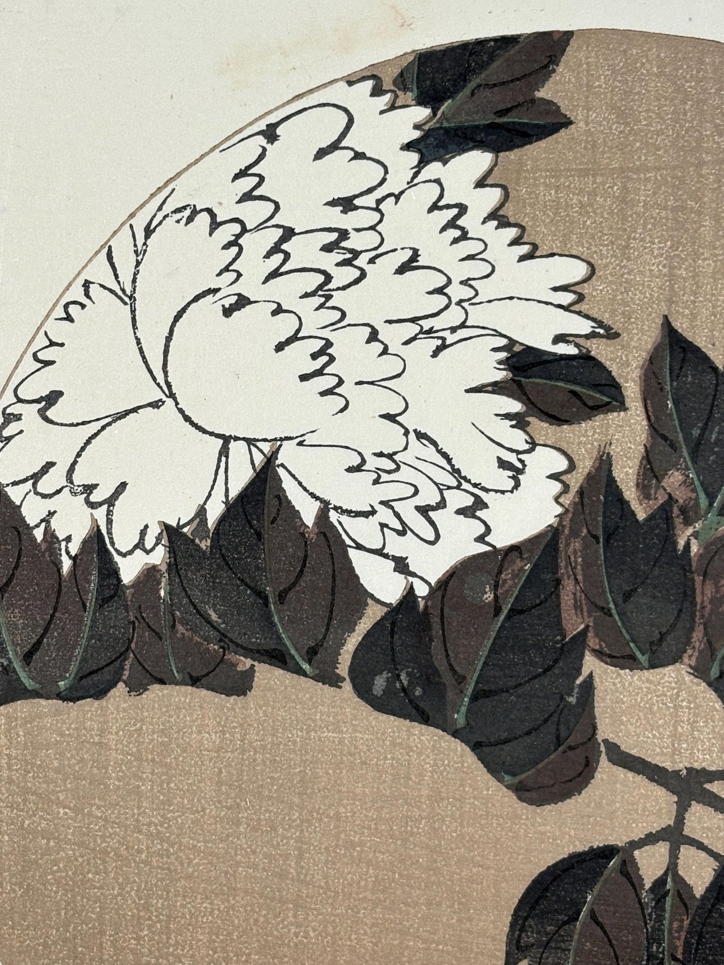 1908, Japanese antique woodblock print, Ito Jakuchu, "Peony, from Jakuchu gafu"