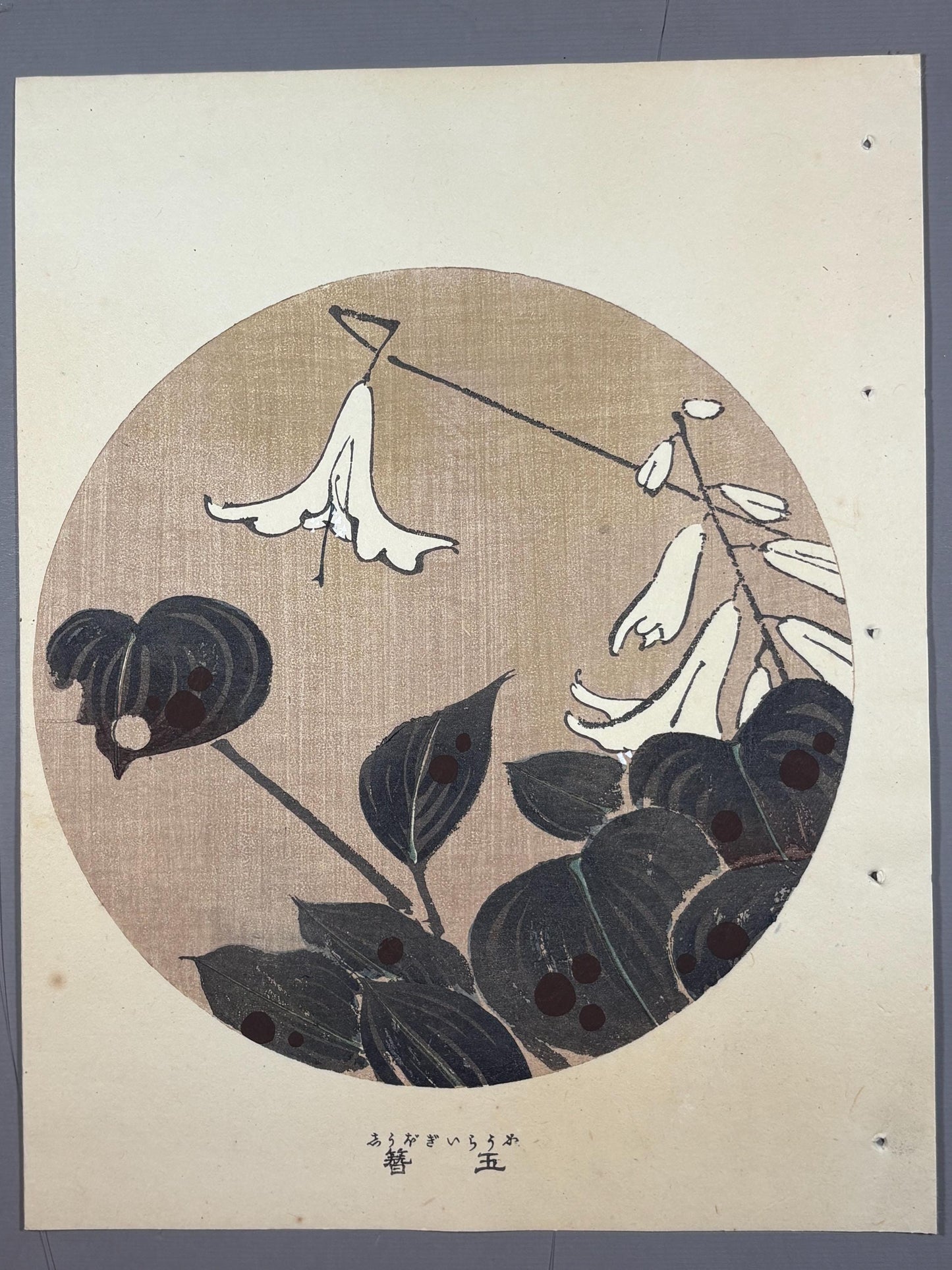 1908, Japanese antique woodblock print, Ito Jakuchu, "Plantain Lily, from Jakuchu gafu"