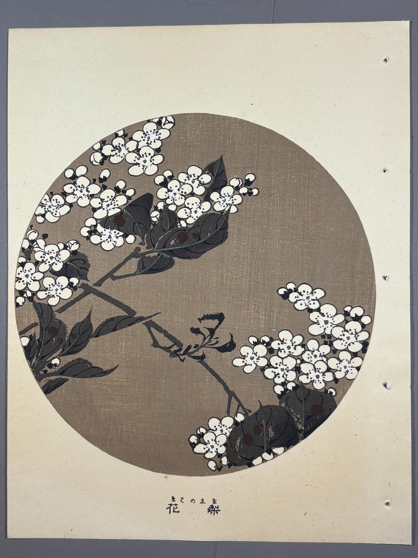 1908, Japanese antique woodblock print, Ito Jakuchu, "Pear Blossom, from Jakuchu gafu"