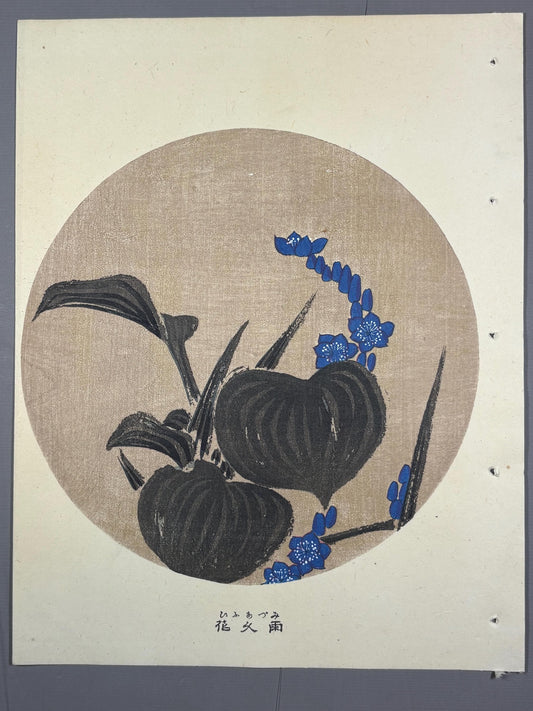 1908, Japanese antique woodblock print, Ito Jakuchu, "Heartleaf False Pickerelweed, from Jakuchu gafu"