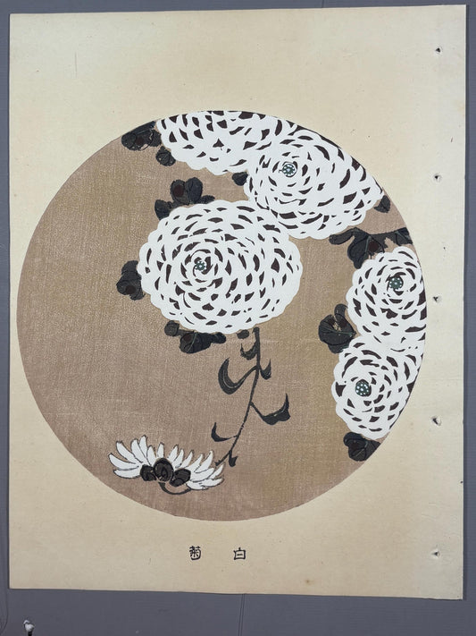 1908, Japanese antique woodblock print, Ito Jakuchu, "White Chrysanthemum, from Jakuchu gafu"