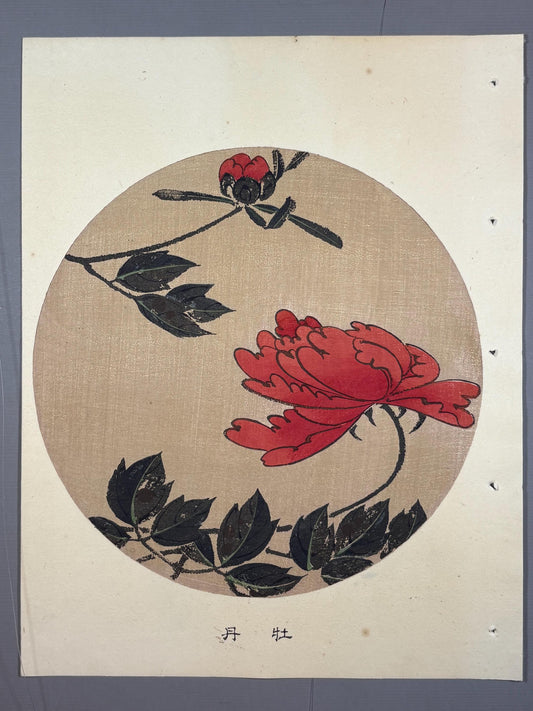 1908, Japanese antique woodblock print, Ito Jakuchu, "Peony, from Jakuchu gafu"