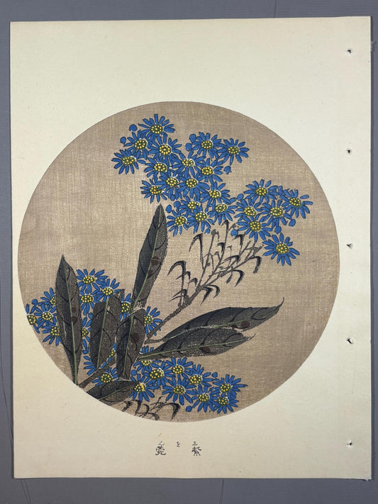 1908, Japanese antique woodblock print, Ito Jakuchu, "Tatarian Aster, from Jakuchu gafu"