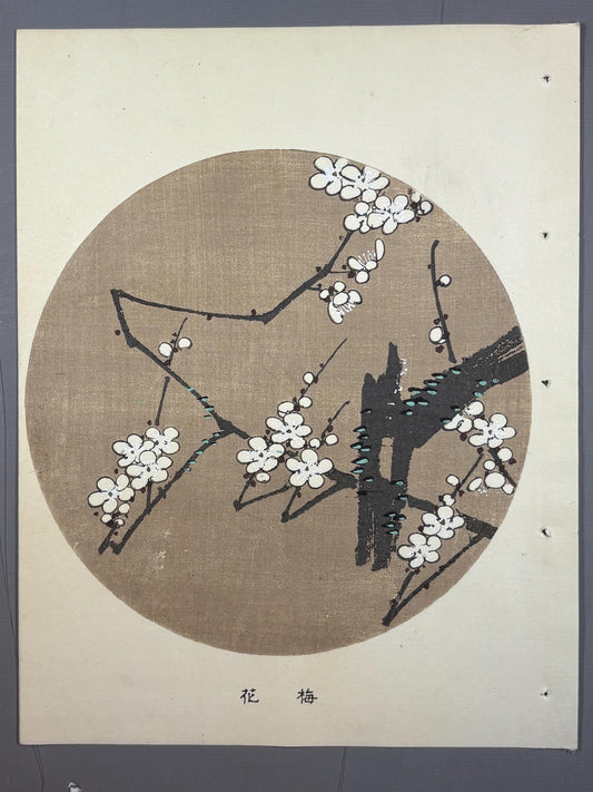 1908, Japanese antique woodblock print, Ito Jakuchu, "White Plum Blossoms, from Jakuchu gafu"