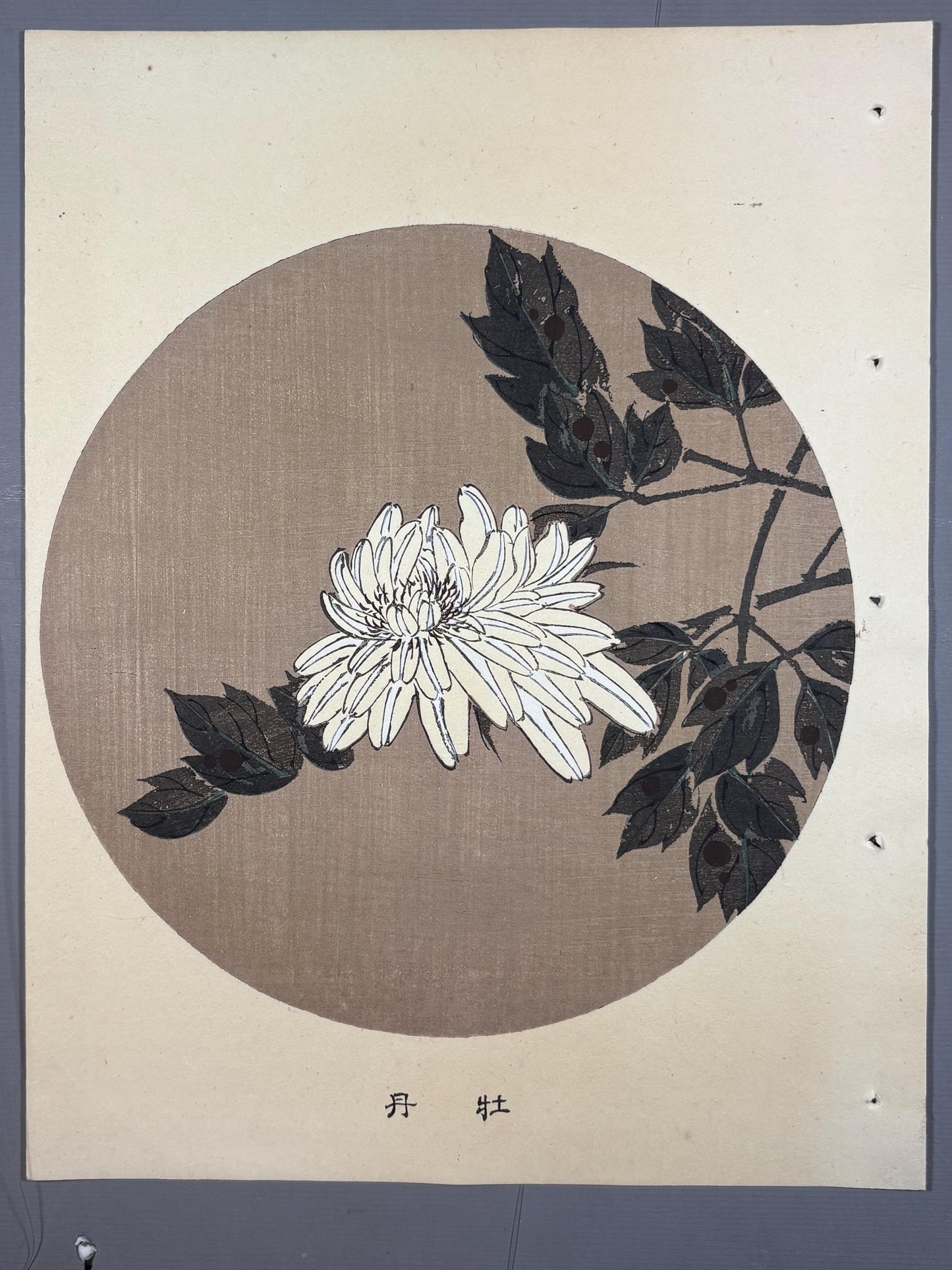 1908, Japanese antique woodblock print, Ito Jakuchu, "Peony, from Jakuchu gafu"