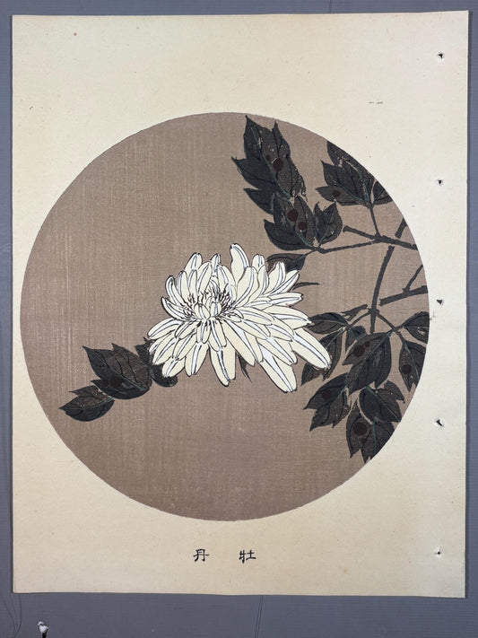 1908, Japanese antique woodblock print, Ito Jakuchu, "Peony, from Jakuchu gafu"