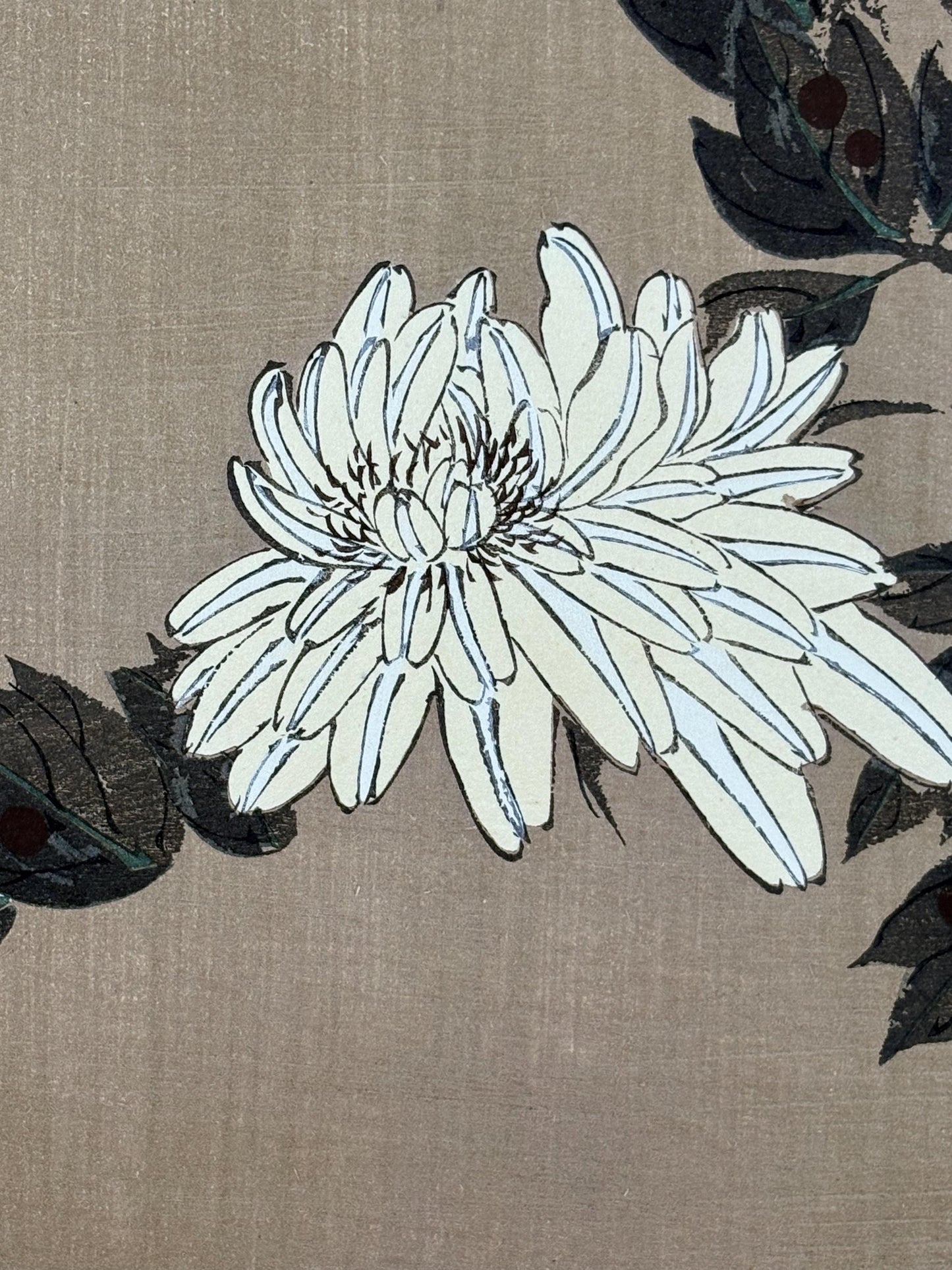 1908, Japanese antique woodblock print, Ito Jakuchu, "Peony, from Jakuchu gafu"