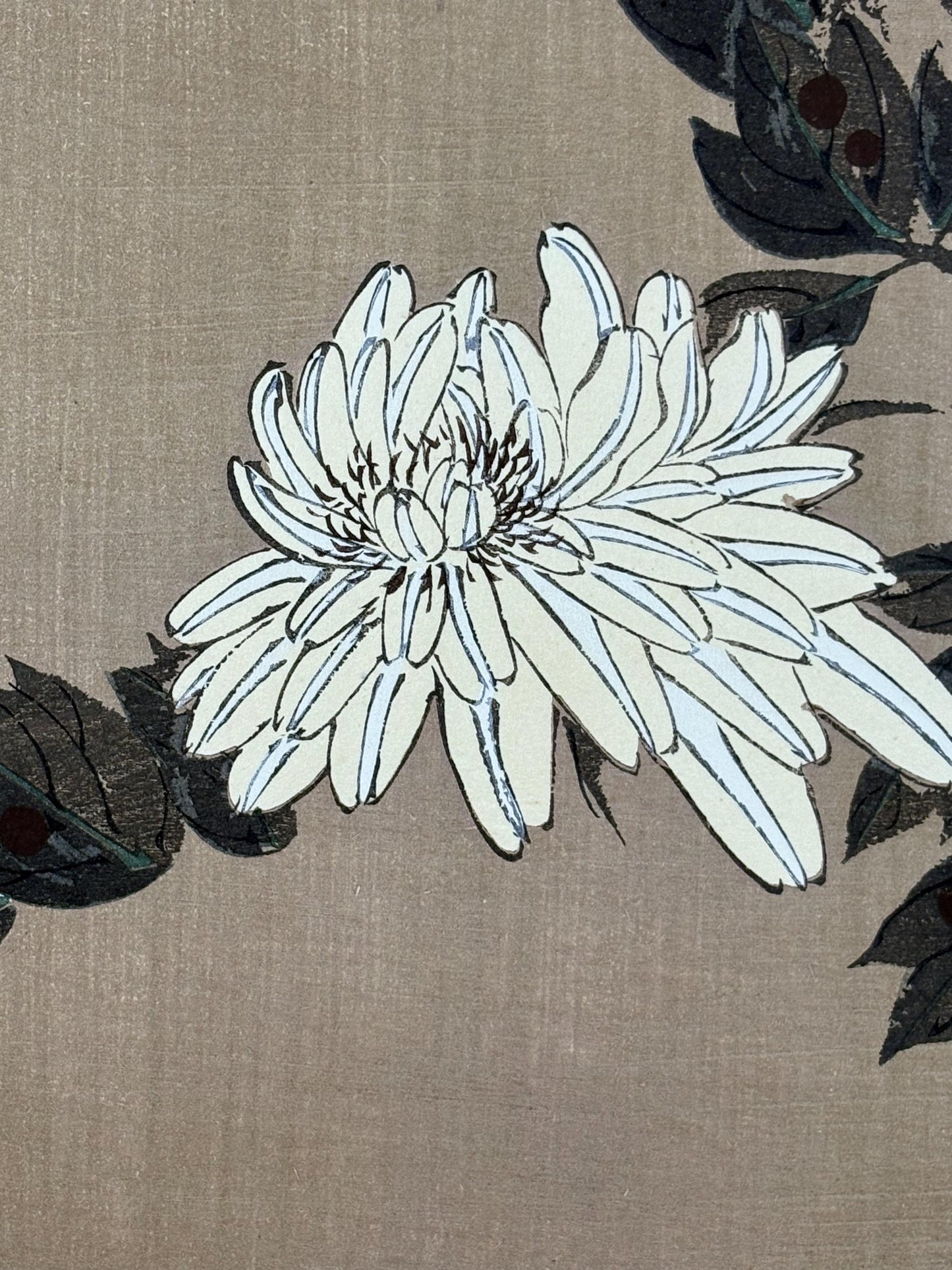 1908, Japanese antique woodblock print, Ito Jakuchu, "Peony, from Jakuchu gafu"