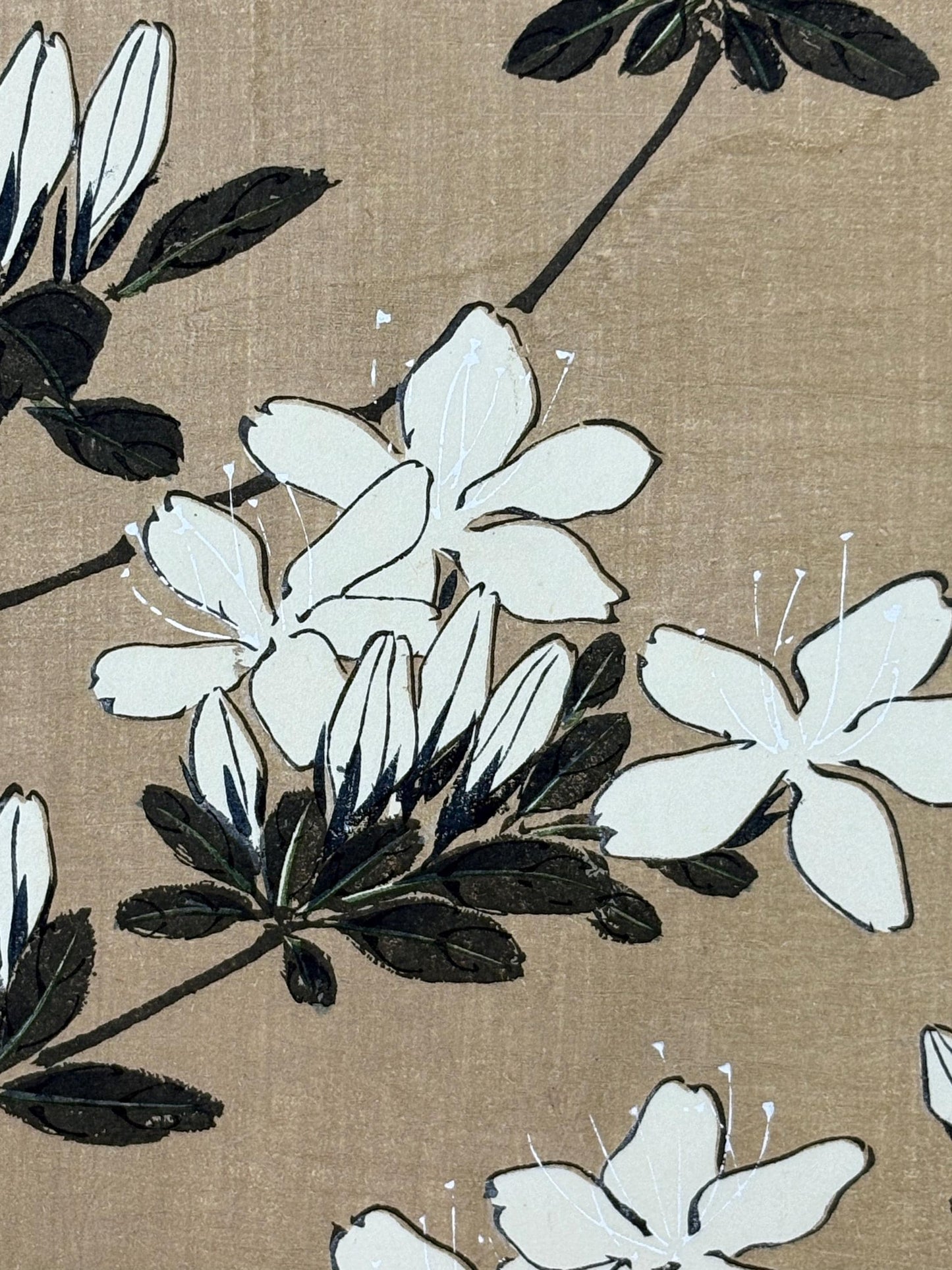 1908, Japanese antique woodblock print, Ito Jakuchu, "Azalea, from Jakuchu gafu"