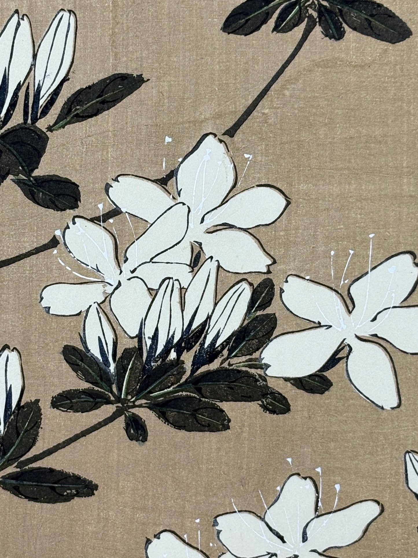 1908, Japanese antique woodblock print, Ito Jakuchu, "Azalea, from Jakuchu gafu"