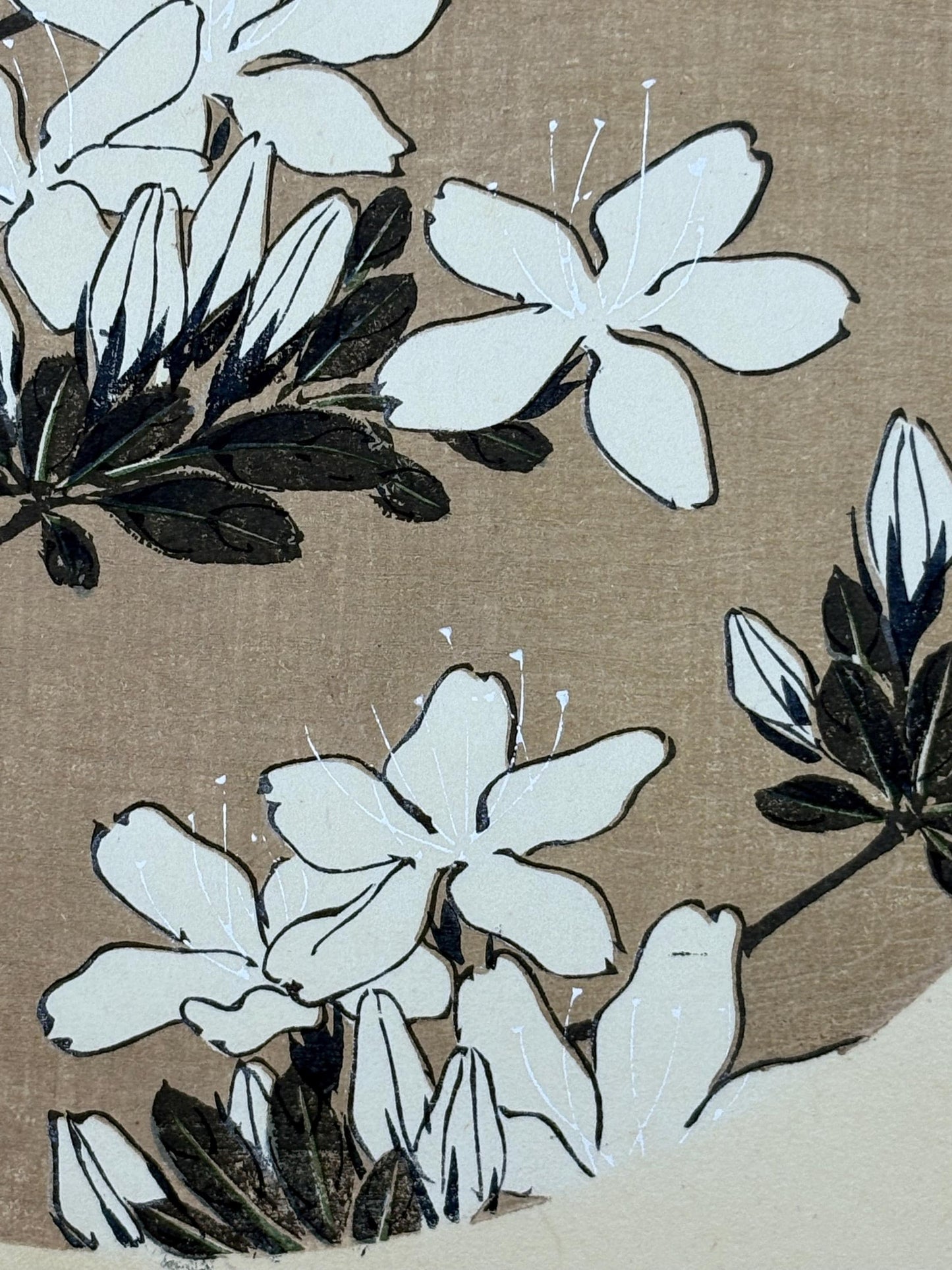 1908, Japanese antique woodblock print, Ito Jakuchu, "Azalea, from Jakuchu gafu"
