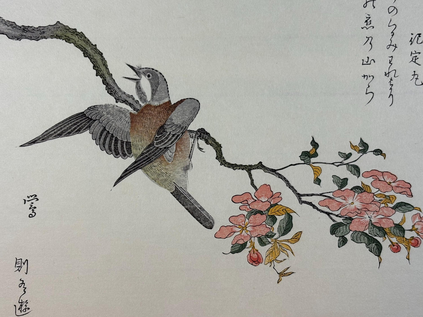 Japanese Ukiyo-e, woodblock print, Utamaro , "Varied Tit and Japanese Bush Warbler"