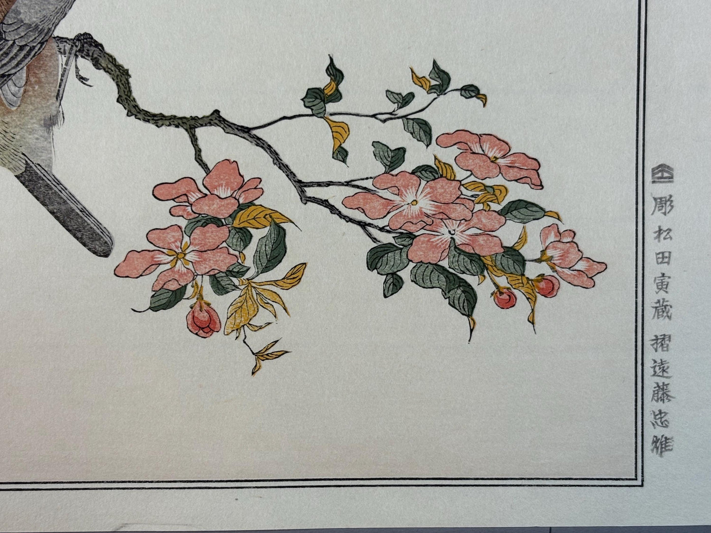 Japanese Ukiyo-e, woodblock print, Utamaro , "Varied Tit and Japanese Bush Warbler"