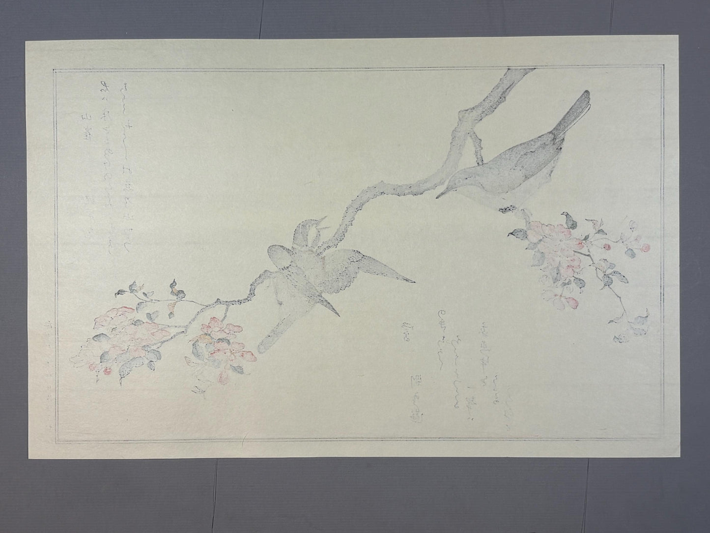 Japanese Ukiyo-e, woodblock print, Utamaro , "Varied Tit and Japanese Bush Warbler"