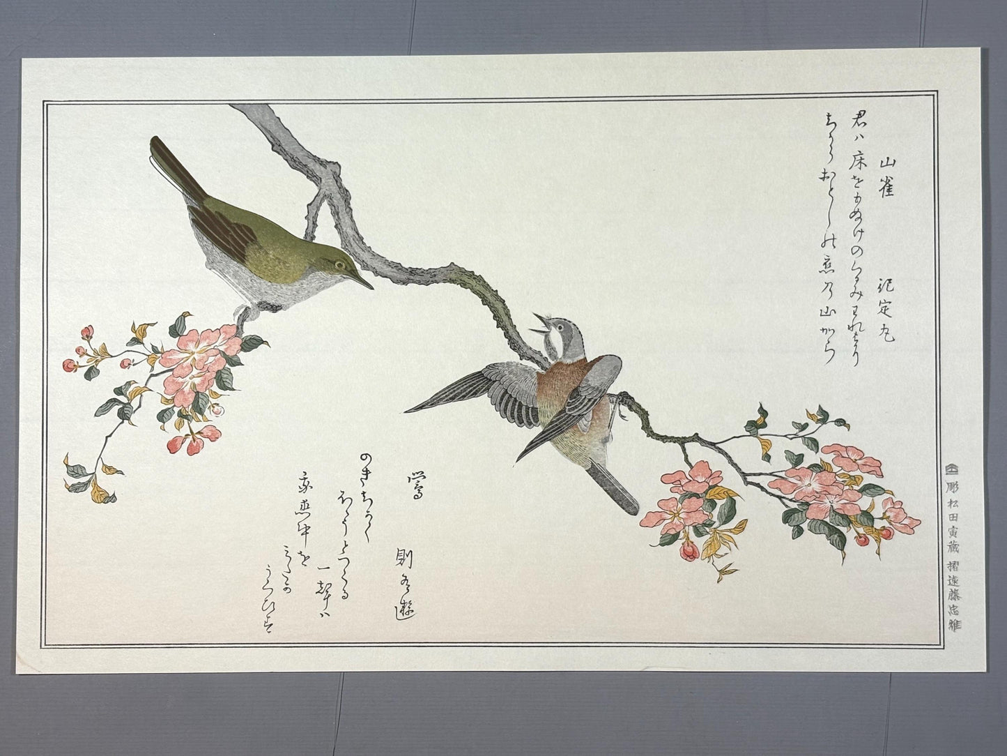 Japanese Ukiyo-e, woodblock print, Utamaro , "Varied Tit and Japanese Bush Warbler"