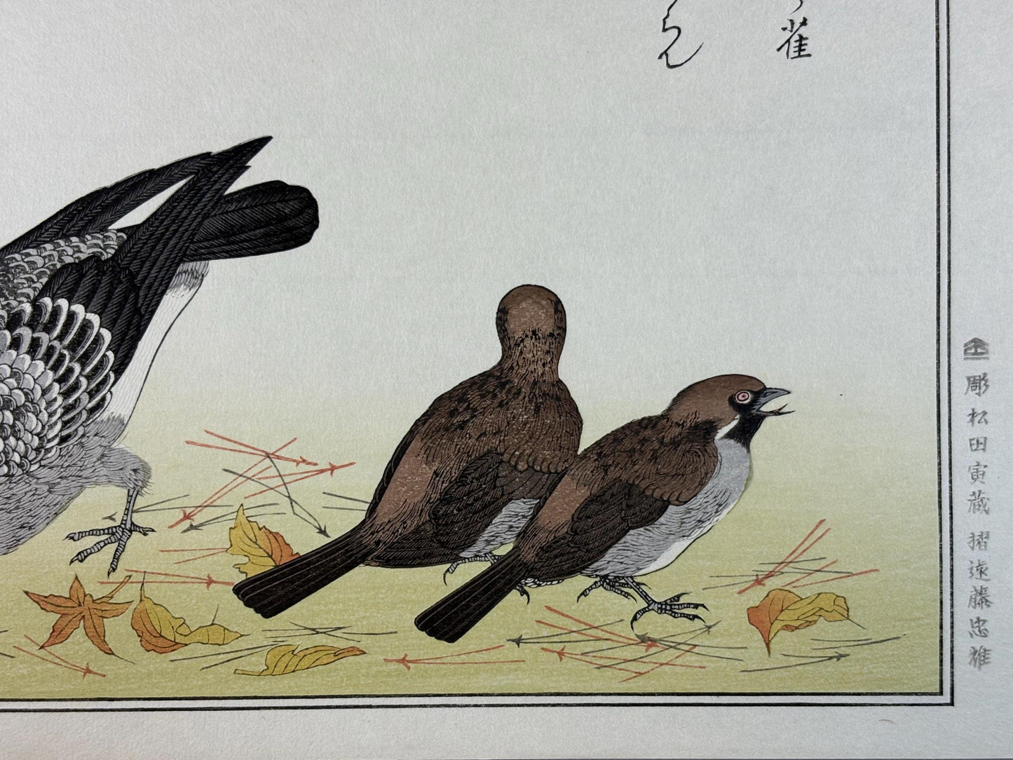 Japanese Ukiyo-e, woodblock print, Utamaro , "Sparrow and Pigeon"