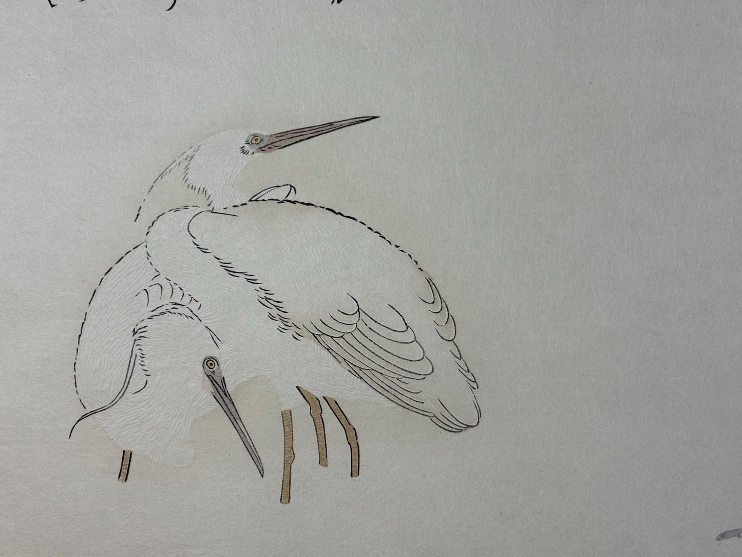 Japanese Ukiyo-e, woodblock print, Utamaro , "Cormorant and Heron"